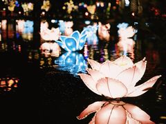 -晋江五店市传统文化旅游区