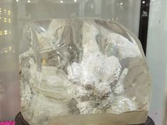 -游龙石文化科普馆