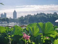 -长春市南湖公园