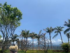 -大梅沙海滨公园