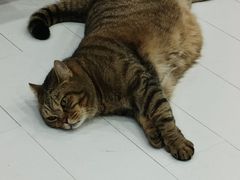 -Best U照相馆证件照(南京西路店)