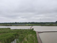 -盐城丹顶鹤湿地生态旅游区
