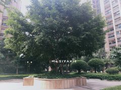 -星湖商业城
