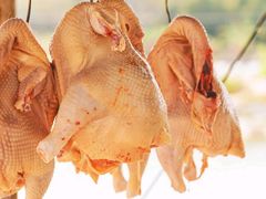 -开平碉楼文化旅游区马降龙景区