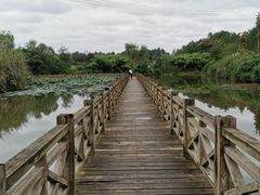 -桤木河湿地公园