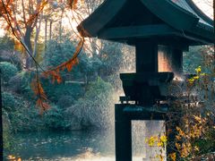 -杭州西溪喜来登度假大酒店