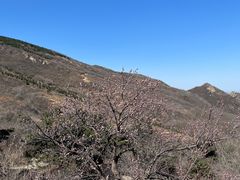 -封龙山风景区