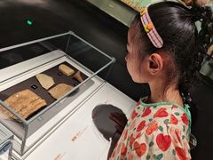 -盘龙城遗址博物院