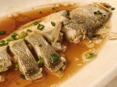 -金美华轩(东方路齐鲁店)
