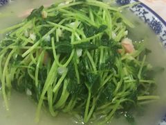 -汉口码头