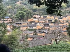 -杨家堂村