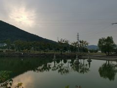 -呼吸森林·生态农庄农家乐私房菜