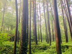 -波尔登森林公园