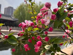 -海棠花溪(元大都城垣遗址公园)