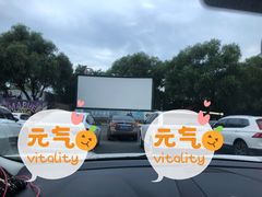 -枫花园汽车电影院(朝阳公园店)