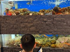 -鱼乐轩海鲜专门店