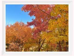 -北京西山国家森林公园