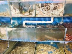 水产区-蟹谢蒸鲜自助餐厅