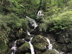 -牛背梁国家森林公园