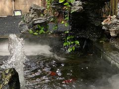 -潮隐·东园现代潮菜