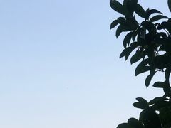 -西湖游船