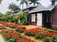 -广东花都香草世界旅游度假区