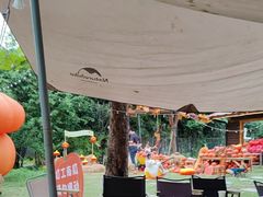 -HERRE·FARM 赫尔露营农场·团建聚会包场