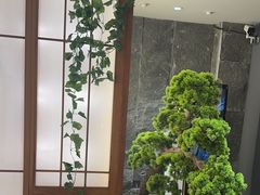 -桃夭日式料理(国信店)