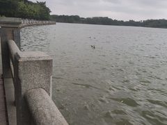 -海珠湖公园
