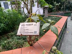 -广州神农草堂中医药博物馆