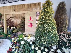-杭州植物园