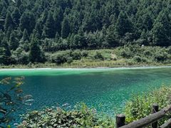 -武陵山森林公园