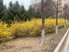 -清水湾足道馆