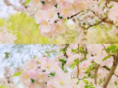 -海棠花溪(元大都城垣遗址公园)