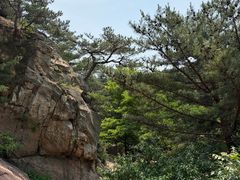 -无染寺