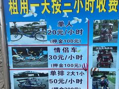 -上海海湾国家森林公园