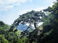 -泰山风景名胜区