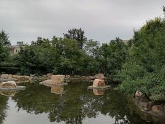 -保利·罗兰香谷