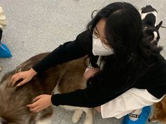 -Let's go狗咖·猫咖·奶狗·桌游(春熙路IFS店)