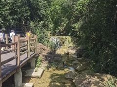 -南海湾森林生态园