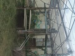 -青藏高原野生动物园