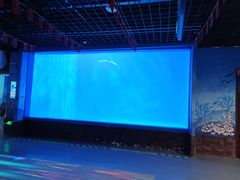 -多彩贵州城极地海洋世界