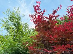 -北仑森林植物园