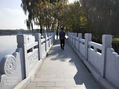 -大兴滨河森林公园