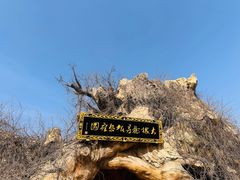 -大槐树寻根祭祖园