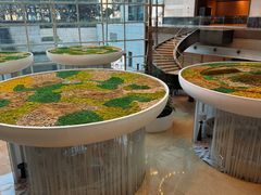 -上海外滩茂悦大酒店