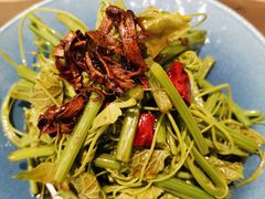 -雀蓝川菜(奥体广场店)