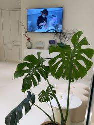 -安那般那皮肤年轻化ANAPANA