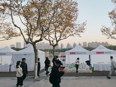 -梅园婚恋·婚姻介绍