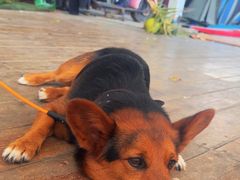 -盘古掌冲浪俱乐部(日月湾店)